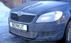 Декоративная вставка воздухозаборника Berkut Skoda Fabia Mk2 хэтчбэк дорестайлинг (2007-2010)