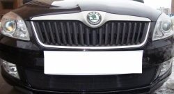 1 469 р. Сетка на бампер (рестайлинг) Russtal (черная) Skoda Fabia Mk2 хэтчбэк дорестайлинг (2007-2010)  с доставкой в г. Екатеринбург. Увеличить фотографию 4