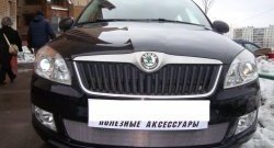 1 539 р. Сетка на бампер (рестайлинг) Russtal (хром)  Skoda Fabia  Mk2 (2007-2010) универсал дорестайлинг, хэтчбэк дорестайлинг  с доставкой в г. Екатеринбург. Увеличить фотографию 2