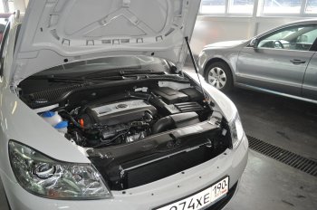 Упоры капота Russtal Skoda Octavia A5 дорестайлинг универсал (2004-2008)  (1 штука)