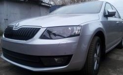 2 569 р. Сетка (для комплектации Ambition, Elegance) на бампер Russtal (черная)  Skoda Octavia  A7 (2012-2017) дорестайлинг лифтбэк, дорестайлинг универсал  с доставкой в г. Екатеринбург. Увеличить фотографию 2