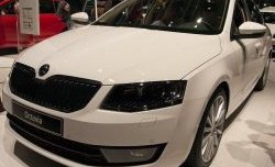 2 569 р. Сетка (для комплектации Ambition, Elegance) на бампер Russtal (черная)  Skoda Octavia  A7 (2012-2017) дорестайлинг лифтбэк, дорестайлинг универсал  с доставкой в г. Екатеринбург. Увеличить фотографию 1