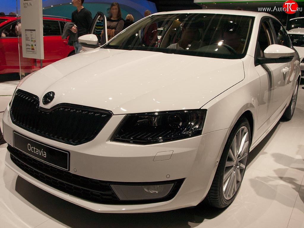 2 569 р. Сетка (для комплектации Ambition, Elegance) на бампер Russtal (черная)  Skoda Octavia  A7 (2012-2017) дорестайлинг лифтбэк, дорестайлинг универсал  с доставкой в г. Екатеринбург