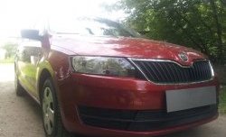 2 339 р. Сетка на бампер Russtal (черная) Skoda Rapid NH3 дорестайлинг лифтбэк (2012-2017)  с доставкой в г. Екатеринбург. Увеличить фотографию 3