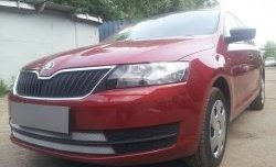 2 399 р. Сетка на бампер Russtal (хром) Skoda Rapid NH3 дорестайлинг лифтбэк (2012-2017)  с доставкой в г. Екатеринбург. Увеличить фотографию 4