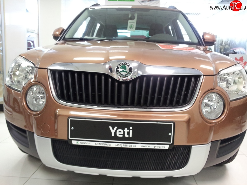 1 469 р. Сетка на бампер Russtal (черная) Skoda Yeti (2009-2013)  с доставкой в г. Екатеринбург