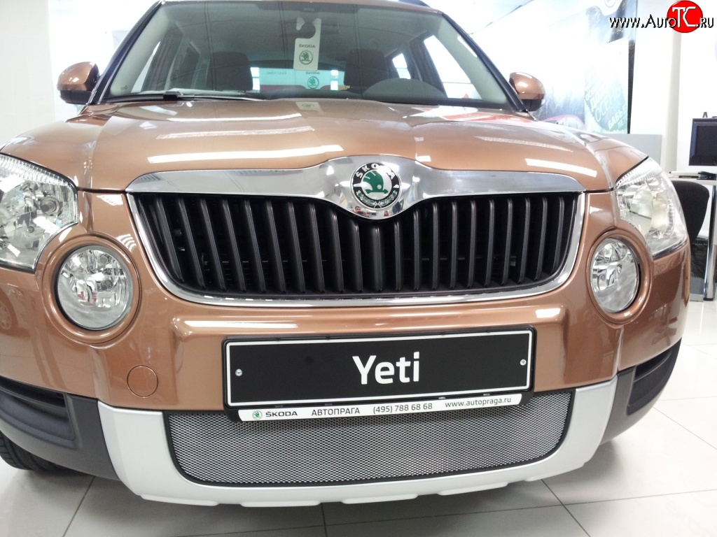 2 199 р. Сетка на бампер Russtal (хром) Skoda Yeti (2009-2013)  с доставкой в г. Екатеринбург