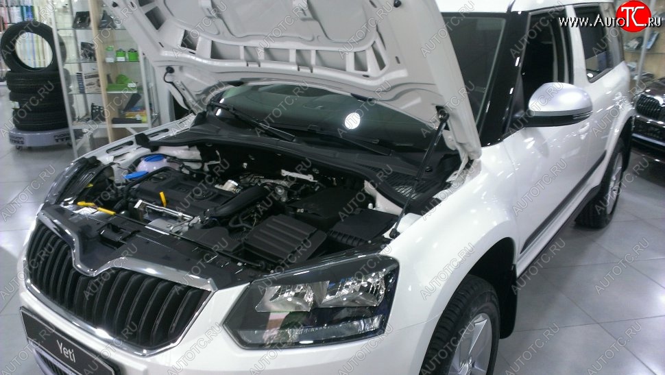 2 199 р. Газовый упор капота Berkut Skoda Yeti (2009-2013)  с доставкой в г. Екатеринбург