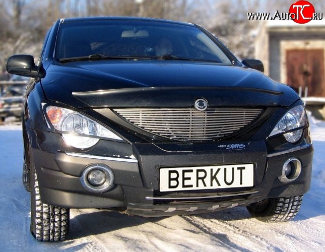 5 999 р. Декоративная вставка решетки радиатора Berkut SSANGYONG Actyon Sport (2006-2011)  с доставкой в г. Екатеринбург