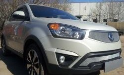 1 539 р. Сетка в решетку радиатора Russtal  SSANGYONG Actyon (2013-2021) рестайлинг (хром)  с доставкой в г. Екатеринбург. Увеличить фотографию 2