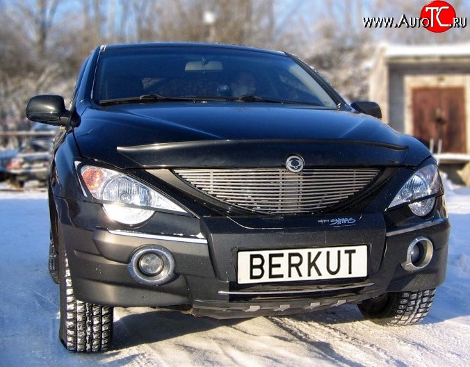 5 999 р. Декоративная вставка решетки радиатора Berkut SSANGYONG Actyon 1 (2006-2010)  с доставкой в г. Екатеринбург