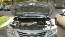 Газовые упоры капота Berkut Toyota Corolla E150 седан рестайлинг (2009-2013)