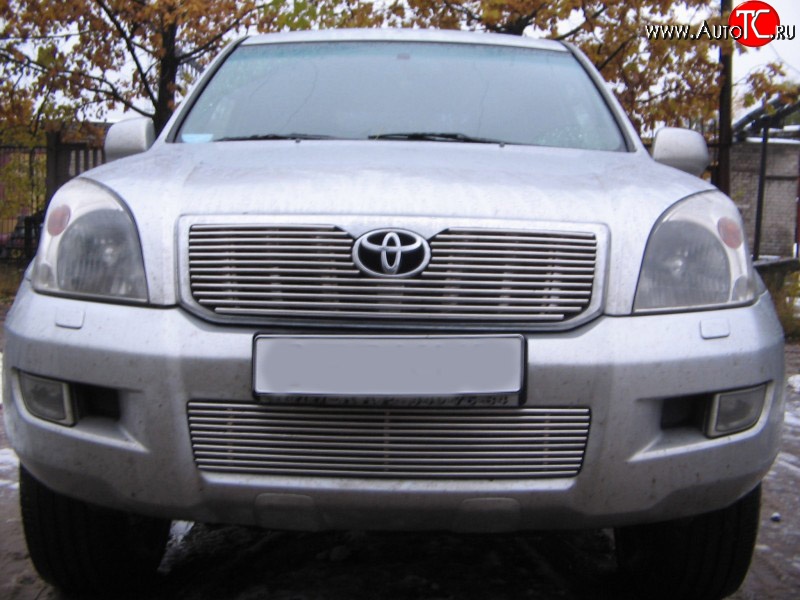 4 399 р. Декоративная вставка воздухозаборника Berkut Toyota Land Cruiser Prado J120 (2002-2009)  с доставкой в г. Екатеринбург