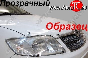 1 899 р. Защита фар (J120-J125) CA-Plastic  Toyota Land Cruiser Prado  J120 (2002-2009) (Classic прозрачный)  с доставкой в г. Екатеринбург