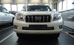 1 539 р. Сетка на бампер Russtal (хром)  Toyota Land Cruiser Prado  J150 (2009-2013) дорестайлинг  с доставкой в г. Екатеринбург. Увеличить фотографию 1