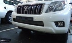 1 539 р. Сетка на бампер Russtal (хром)  Toyota Land Cruiser Prado  J150 (2009-2013) дорестайлинг  с доставкой в г. Екатеринбург. Увеличить фотографию 2