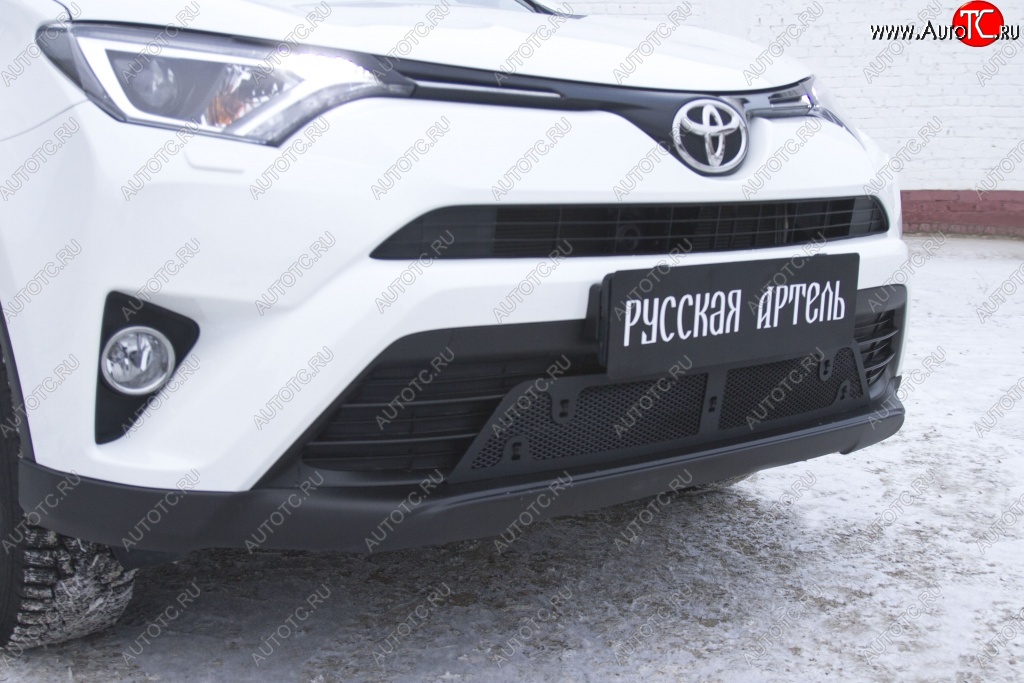 1 689 р. Защитная сетка решетки переднего бампера РА Toyota RAV4 XA40 5 дв. рестайлинг (2015-2019)  с доставкой в г. Екатеринбург