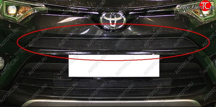 1 469 р. Сетка в решетку радиатора Russtal  Toyota RAV4  XA40 (2015-2019) 5 дв. рестайлинг (черная)  с доставкой в г. Екатеринбург