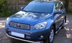 Декоративная вставка воздухозаборника (XA30) Berkut Toyota RAV4 XA305 5 дв. дорестайлинг (2005-2009)