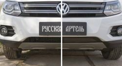 1 639 р. Защитная сетка решетки переднего бампера (Track & Field) РА Volkswagen Tiguan NF рестайлинг (2011-2017)  с доставкой в г. Екатеринбург. Увеличить фотографию 4